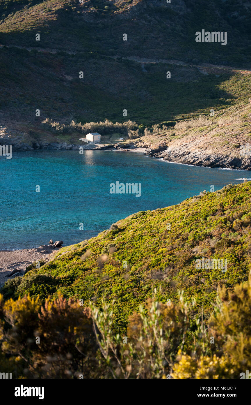 Corse Sappuyant Sur La Plage Et Leau Cristalline De L