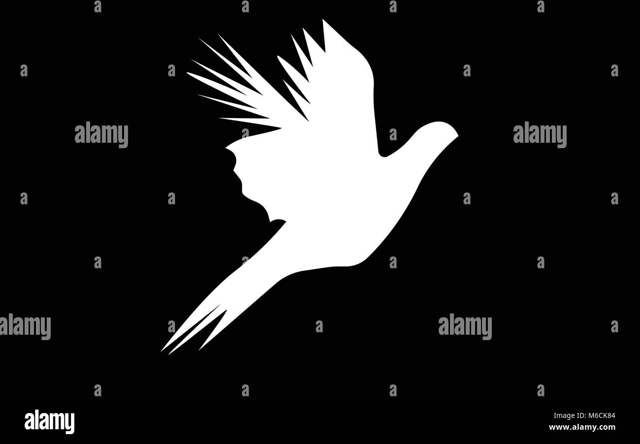 Vol blanc silhouette faisan sur fond noir Illustration de Vecteur