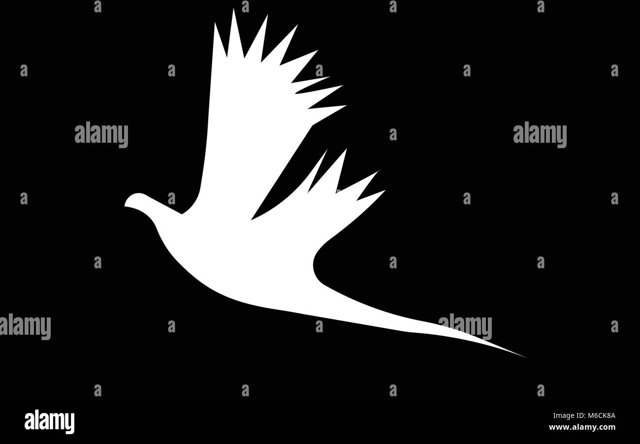 Vol blanc silhouette faisan sur fond noir Illustration de Vecteur