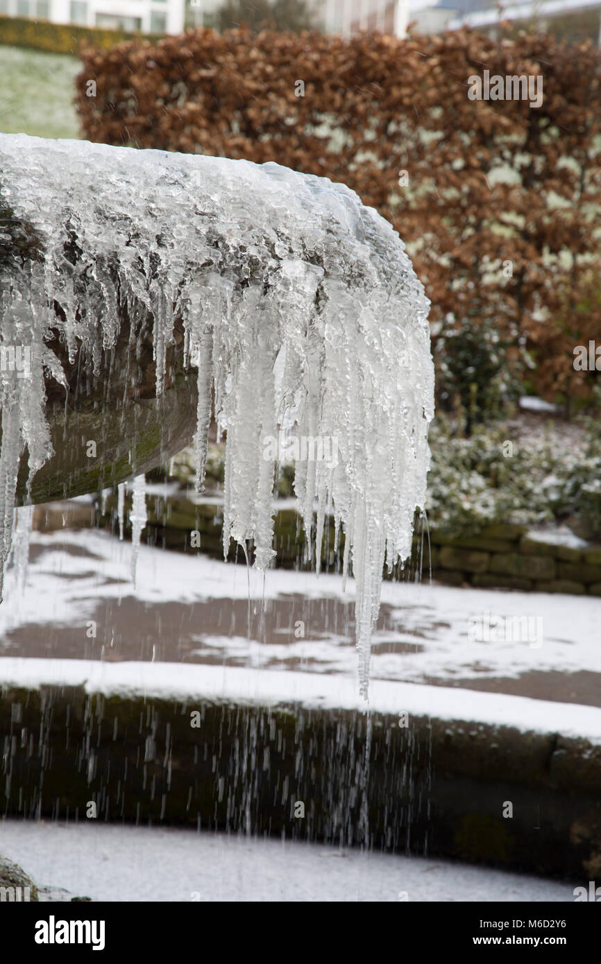 Les Jardins Botaniques de Birmingham. 28 Février, 2018. Météo France : fontaine à Birmingham's Botanical Gardens Crédit : Lisa Robinson/Alamy Live News Banque D'Images