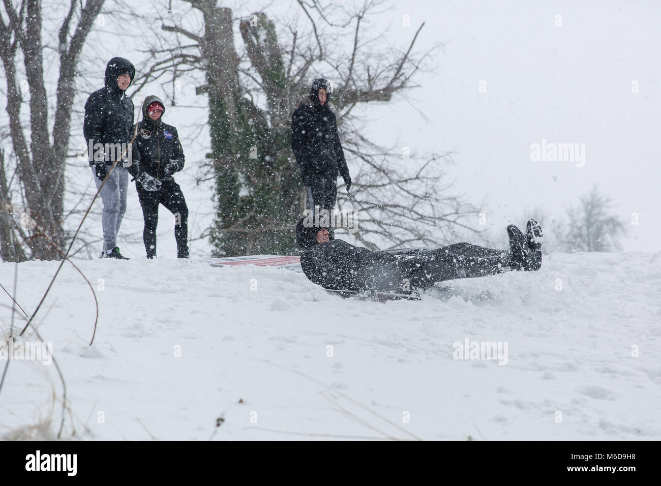 Celbridge, Kildare, Irlande. 02 Mar 2018 : profitant de la neige s'amusant en glissant sur la colline. Bête de l'est suivi par Emma Tempête de neige et des vents violents ont paralysé le pays et forcer a rencontré à émettre d'avertissement rouge Éireann alert à travers l'Irlande. Banque D'Images