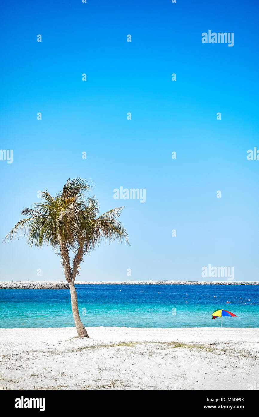 Plage Vide Avec Un Cocotier Arbre Vacances D Concept Photo Stock Alamy