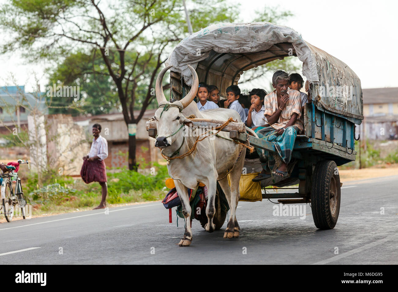 Des enfants se rendant à la maison de l'école dans un village du Tamil Nadu, près de Athoor, Tamil Nadu en Inde. Banque D'Images