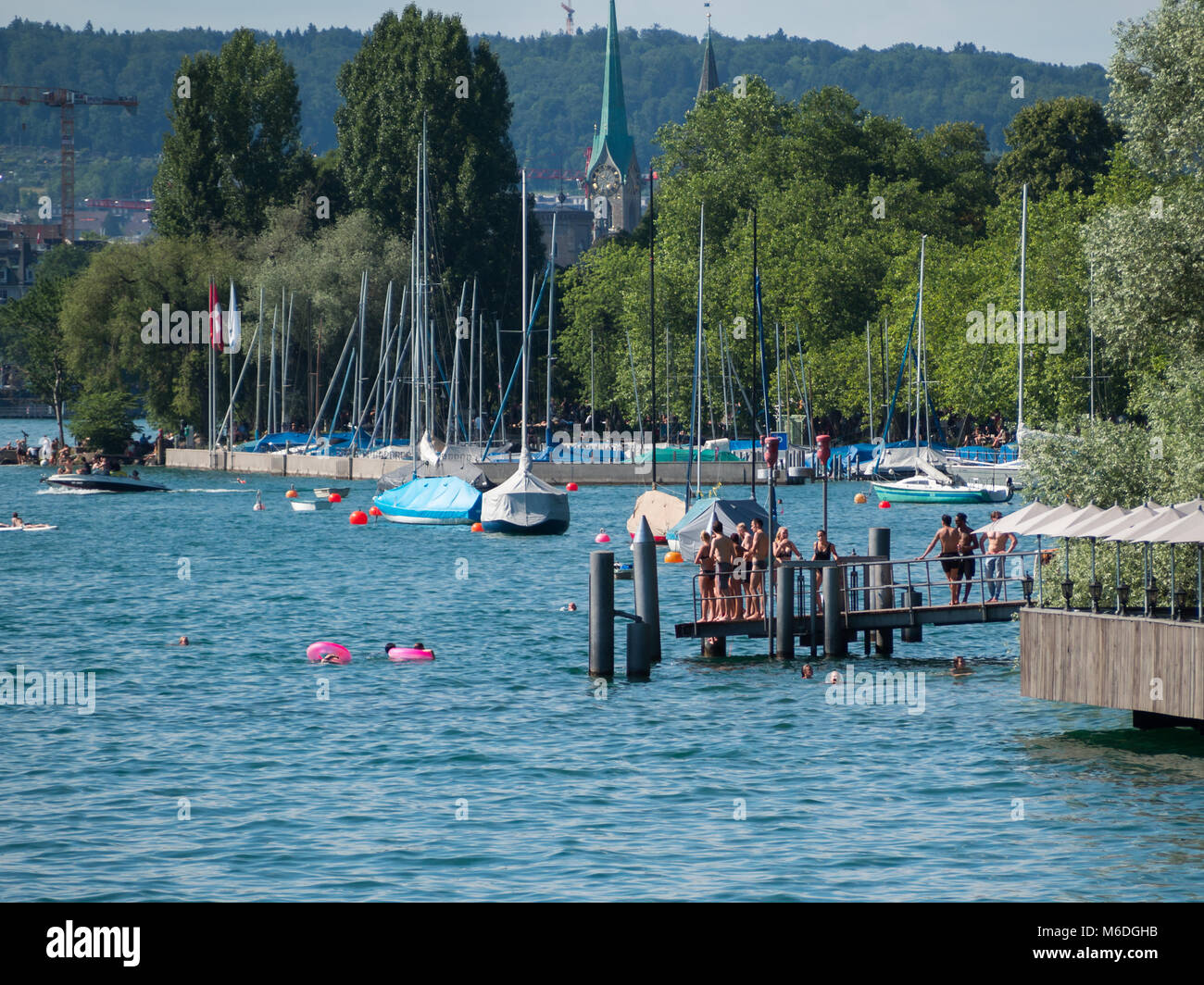 Paysage du lac de Zurich en été Banque D'Images