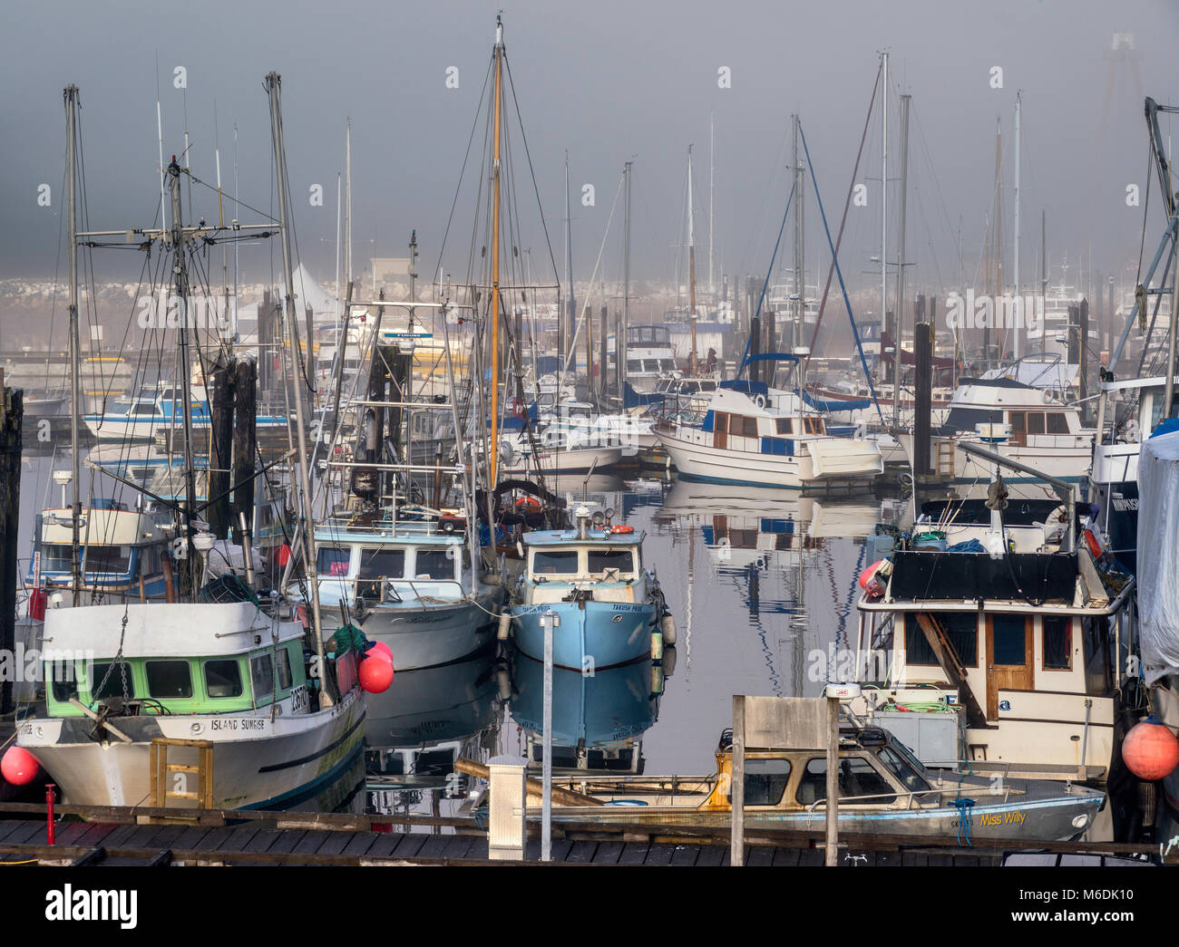 Des bateaux de pêche, le brouillard du matin, au Quai Municipal marina près de ferry terminal à Port McNeill, au nord de l'île de Vancouver, Colombie-Britannique, Canada Banque D'Images