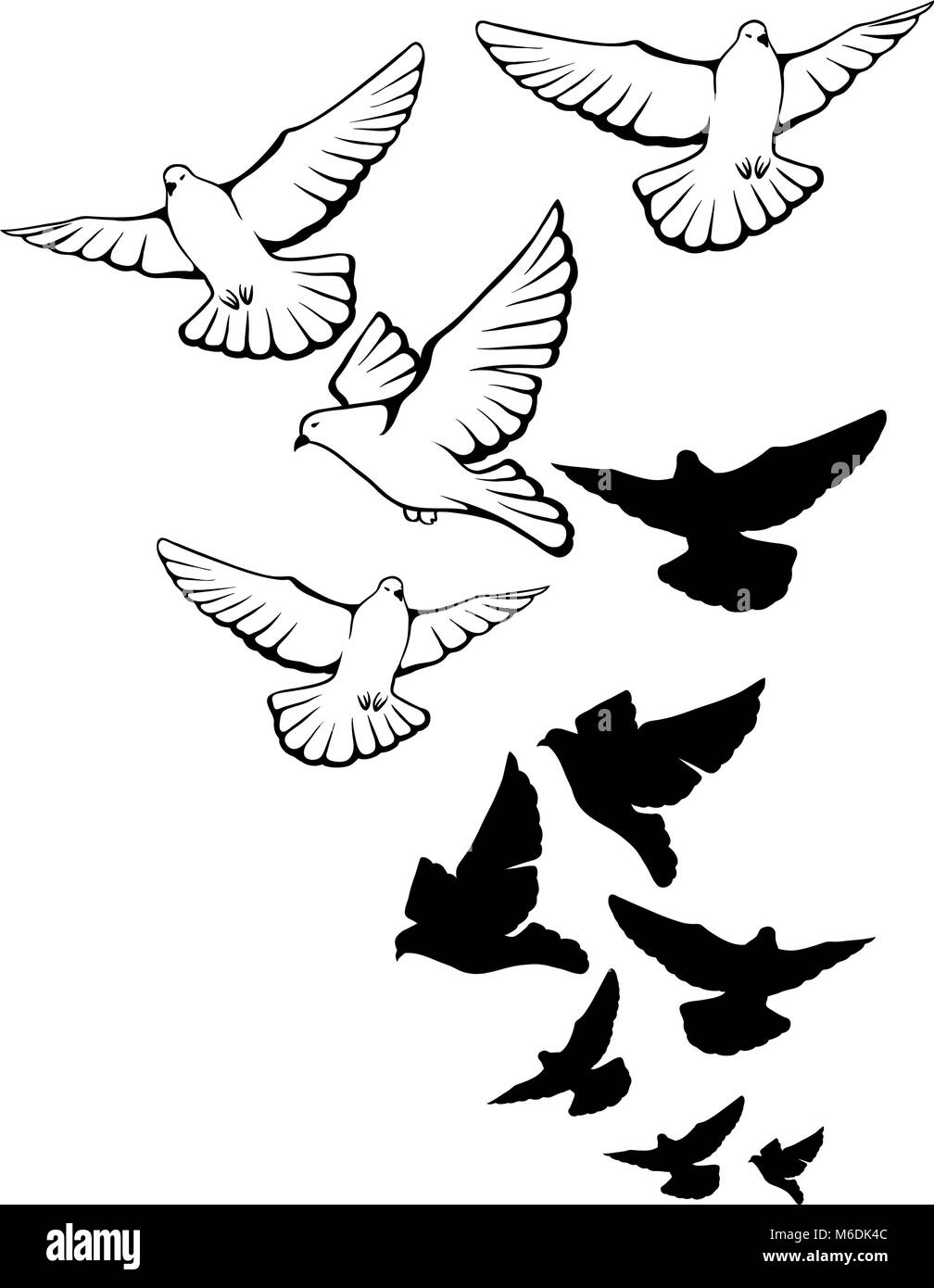 Pigeons de vol arrière-plan. Hand drawn vector illustration Illustration de Vecteur