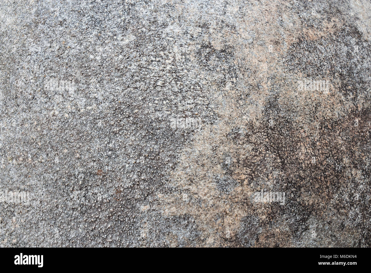 Ciment Grunge texture background . Couleur gris . Concept abstrait . Banque D'Images