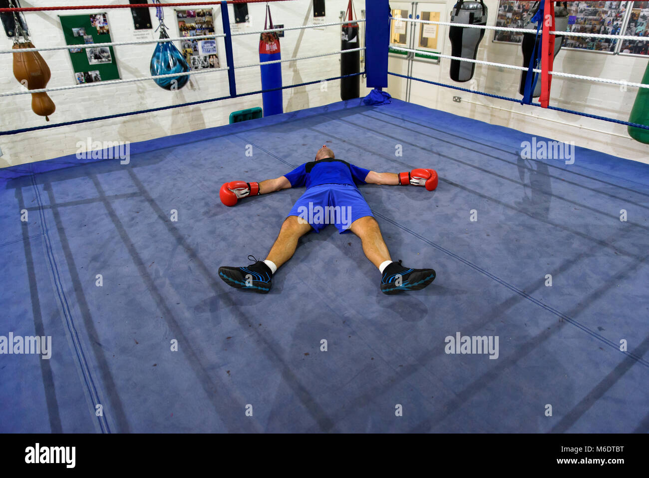Boxeur K O Dans Un Ring De Boxe Photo Stock Alamy