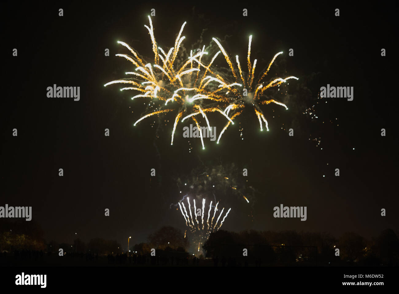 D'artifice à Wanstead Flats Banque D'Images