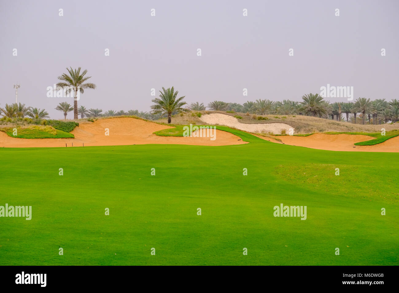 Saadiyat Beach Golf Course, 18 trous, Par 4, l'île de Saadiyat Abu Dhabi Banque D'Images