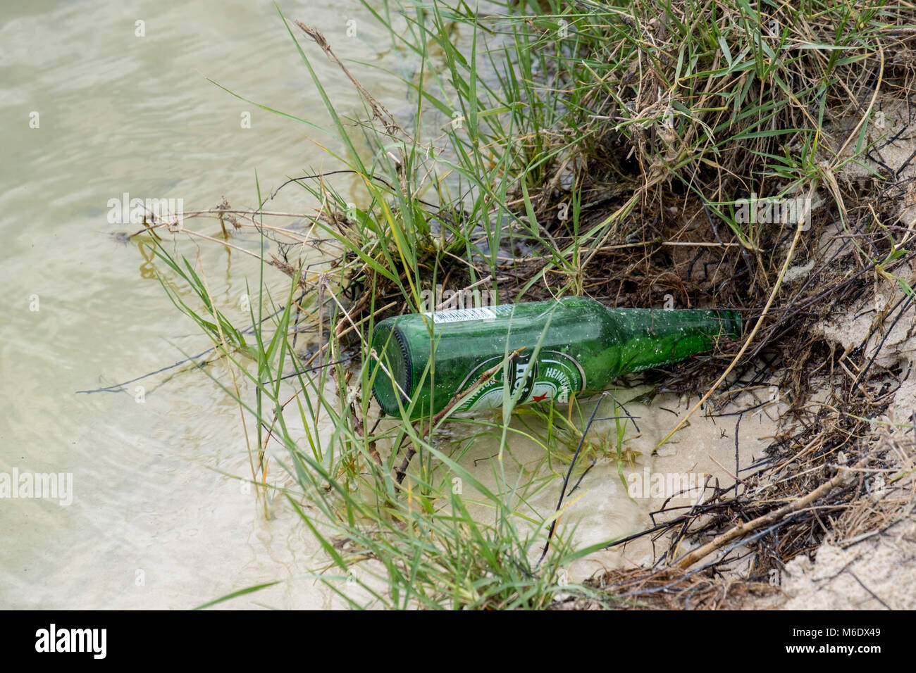 Bouteille de bière Heineken a chuté en étang / Lake Banque D'Images