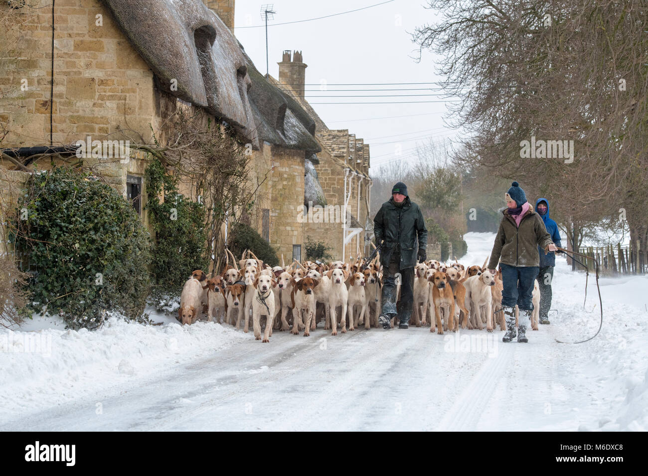 Les cotswolds du Nord chassent les fosses en passant devant des cottages à toit de chaume dans la neige d'hiver. Broadway, Cotswolds, Worcestershire, Angleterre Banque D'Images