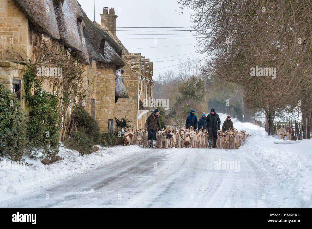 Les cotswolds du Nord chassent les fosses en passant devant des cottages à toit de chaume dans la neige d'hiver. Broadway, Cotswolds, Worcestershire, Angleterre Banque D'Images