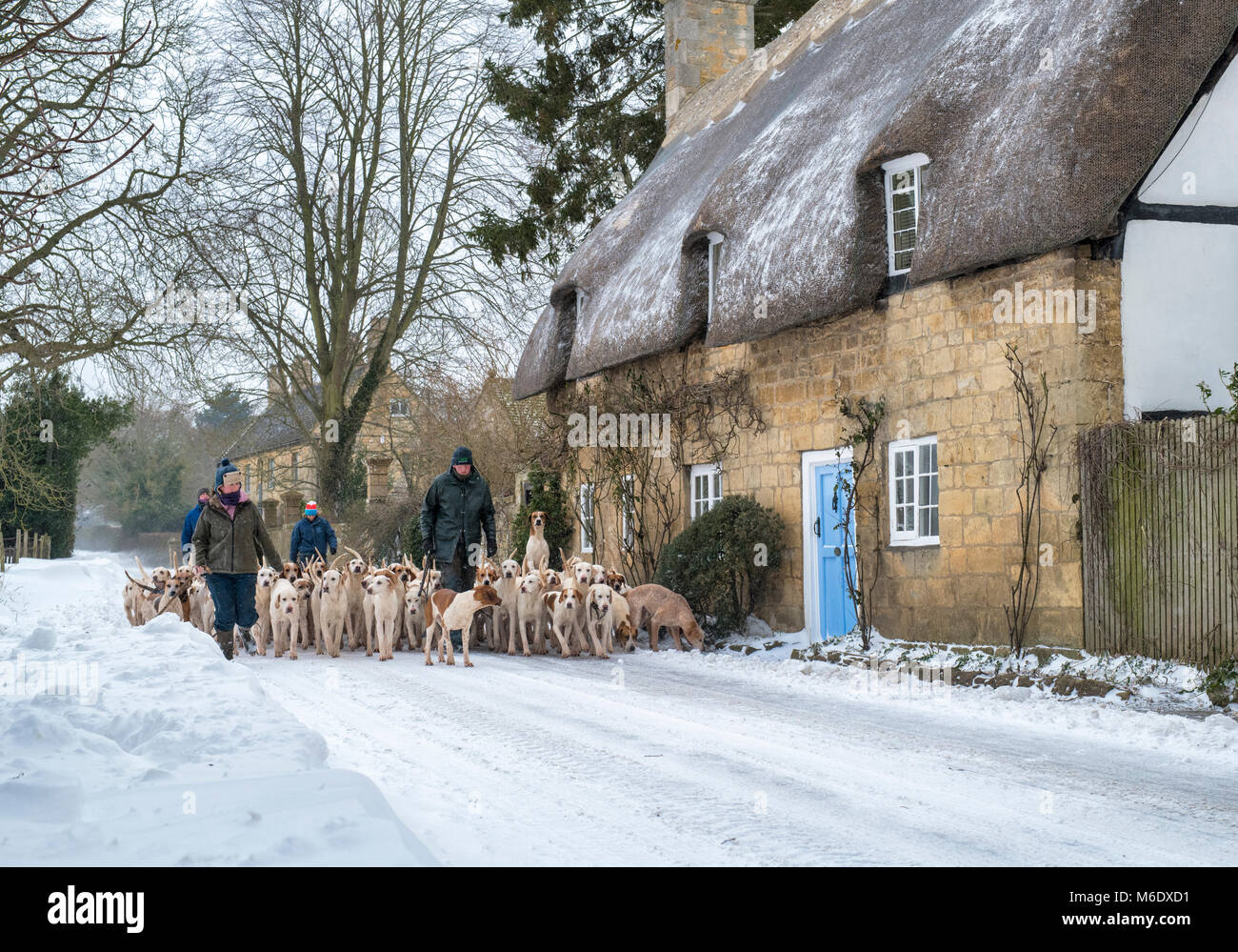 Les cotswolds du Nord chassent les fosses en passant devant des cottages à toit de chaume dans la neige d'hiver. Broadway, Cotswolds, Worcestershire, Angleterre Banque D'Images