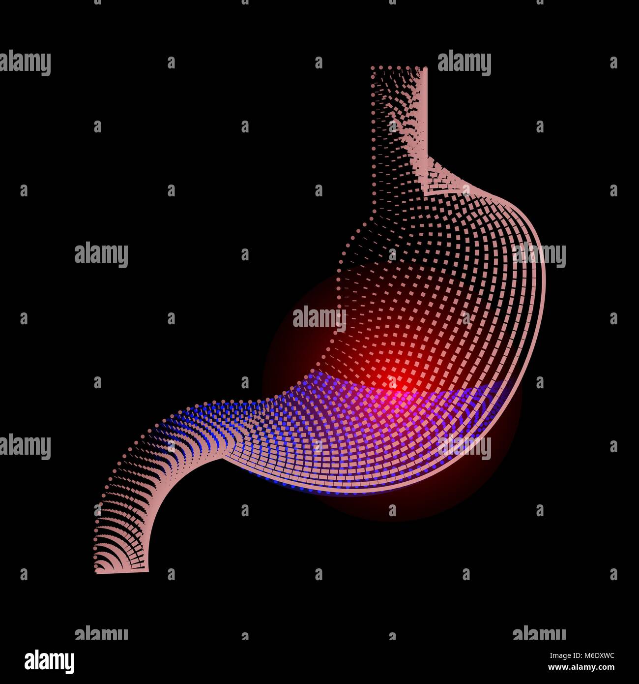 L'icône de l'estomac. Les organes internes symbole. Anatomie du système digestif.illustration des ulcères de l'estomac. cancer de l'estomac. Eps 10 Illustration de Vecteur