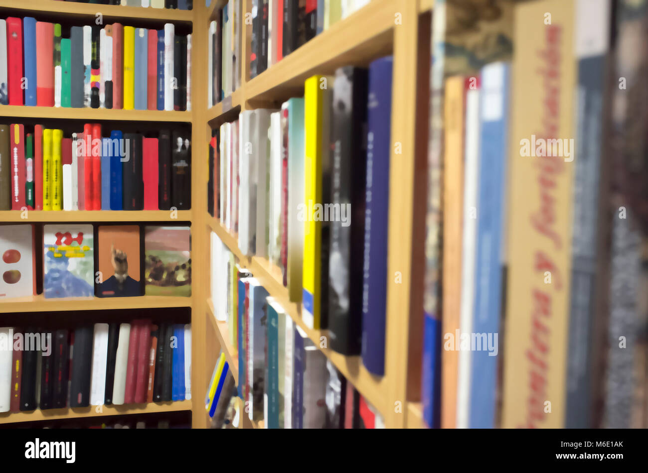 L'affichage de la librairie pleine de la fiction historique et la science historique livres. Arrière-plan flou artistique Banque D'Images