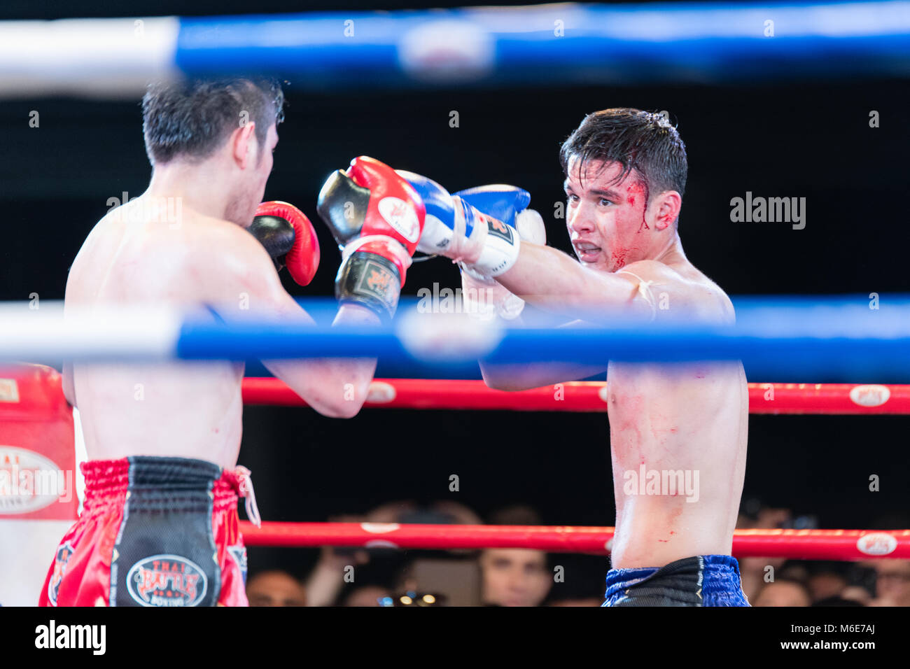 Combat de Muay Thai à Bangkok, Thaïlande Banque D'Images