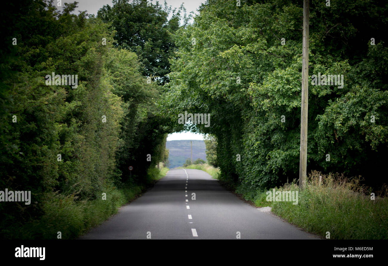 Routes de campagne du Yorkshire Banque D'Images