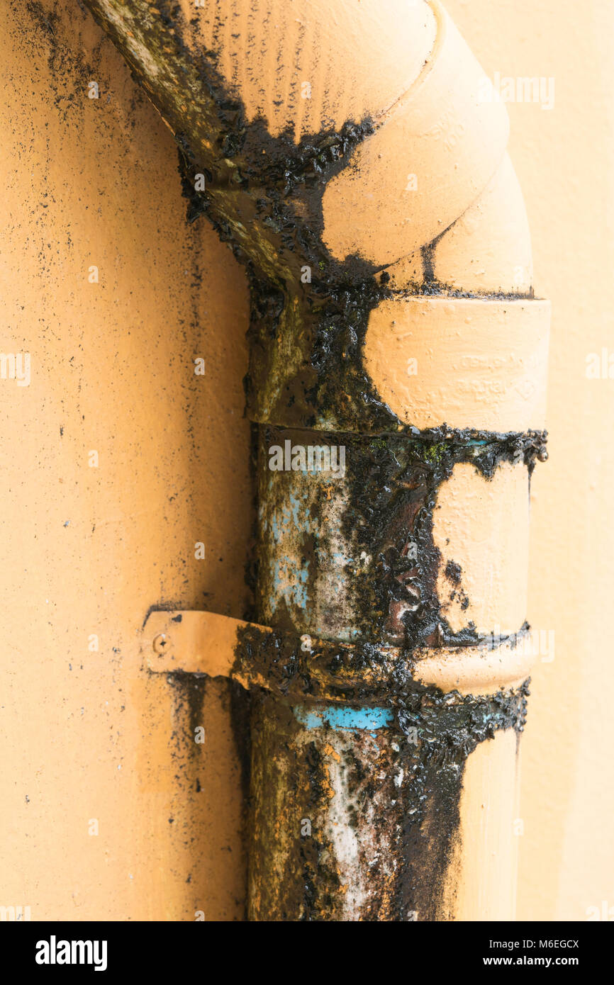 Tuyau de fuite d'eau, de la mousse et la paroi du tuyau d'alimentation d'eau rouillée de la vieille maison d'arrière-plan Banque D'Images