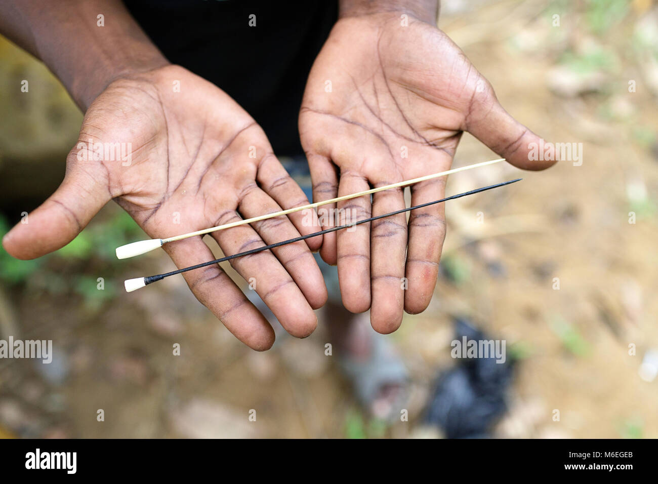 Mains montrant des flèches pour le fusil de chasse de Batek Tribe, peuple aborigène de Malaisie, Taman Negara Banque D'Images