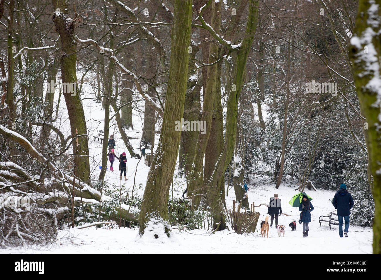 La "bête de l'Est' très froid et la neige de fin février et début mars 2018 Banque D'Images