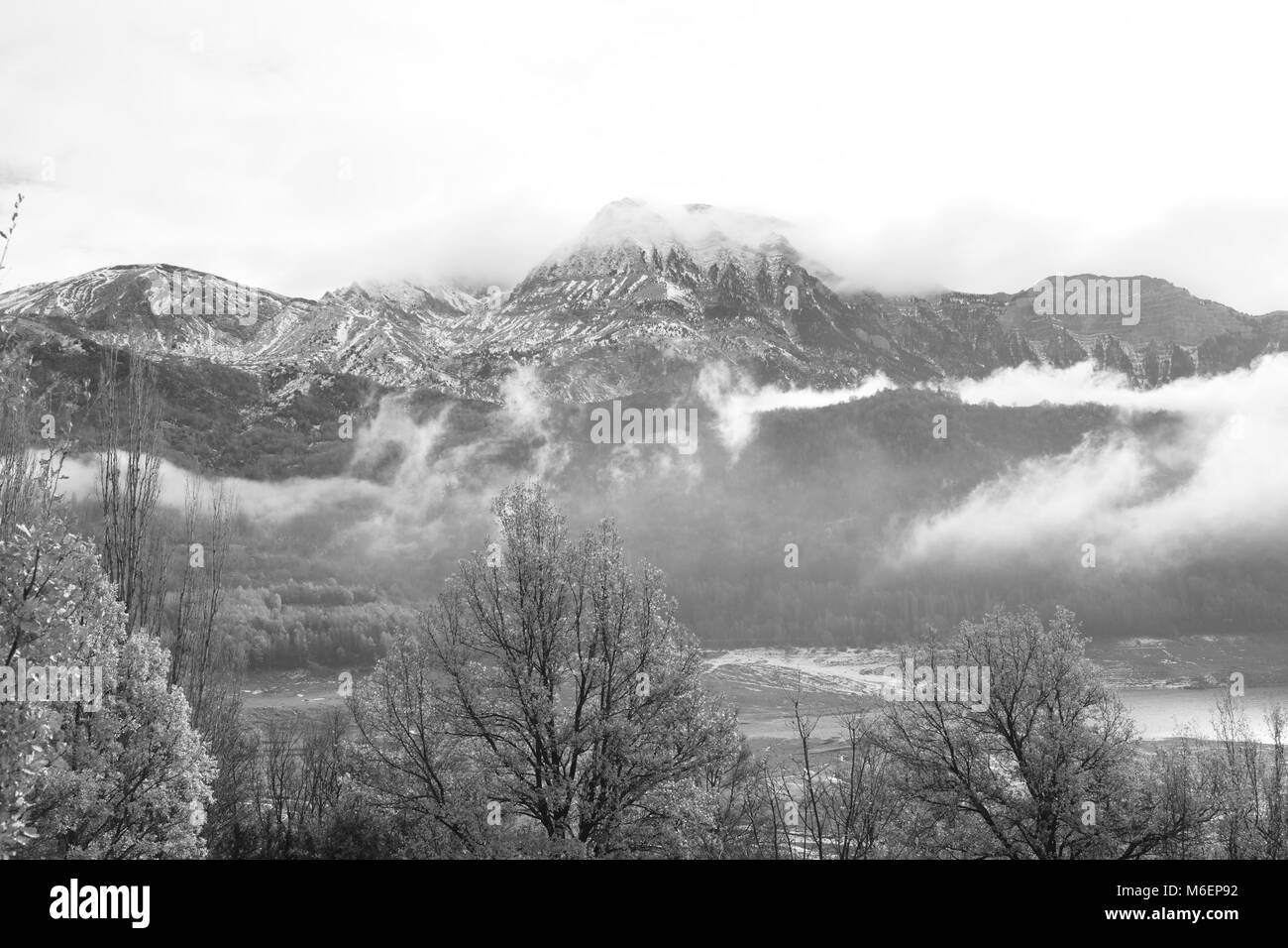 Brouillard dans la forêt avec des montagnes enneigées, la photographie noir et blanc Banque D'Images