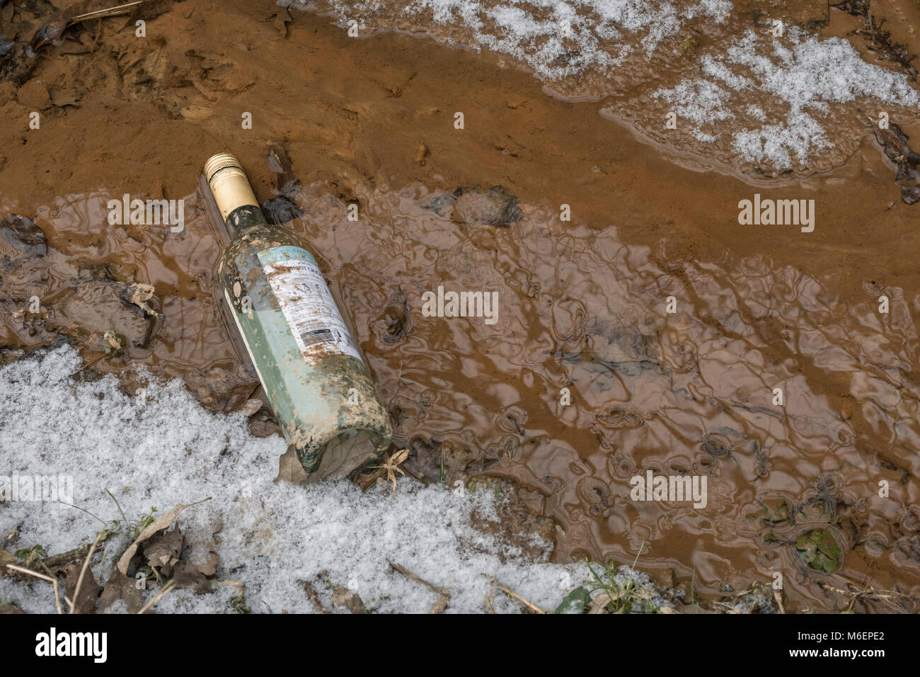 Bouteille de vin en verre transparent vide jeté d'un véhicule dans une haie de campagne fossé. Métaphore de la pollution de l'environnement. Banque D'Images