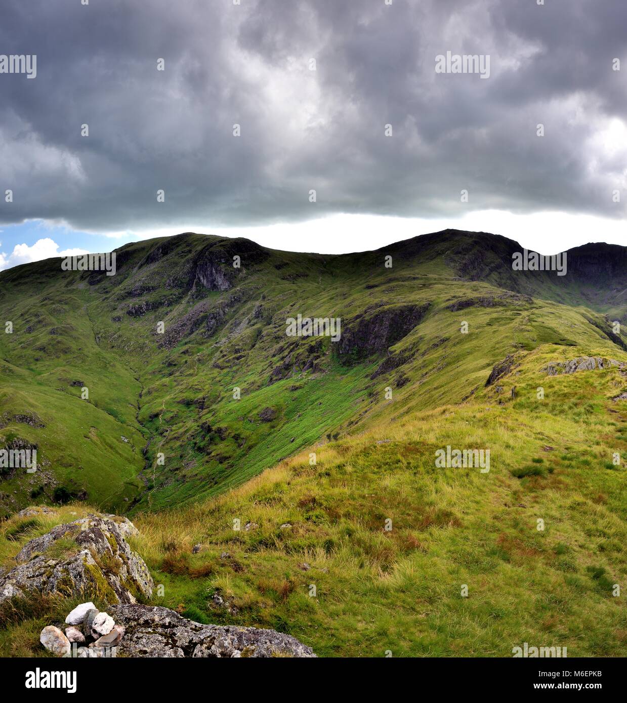 Crag Dove à Hart Crag ridge Banque D'Images