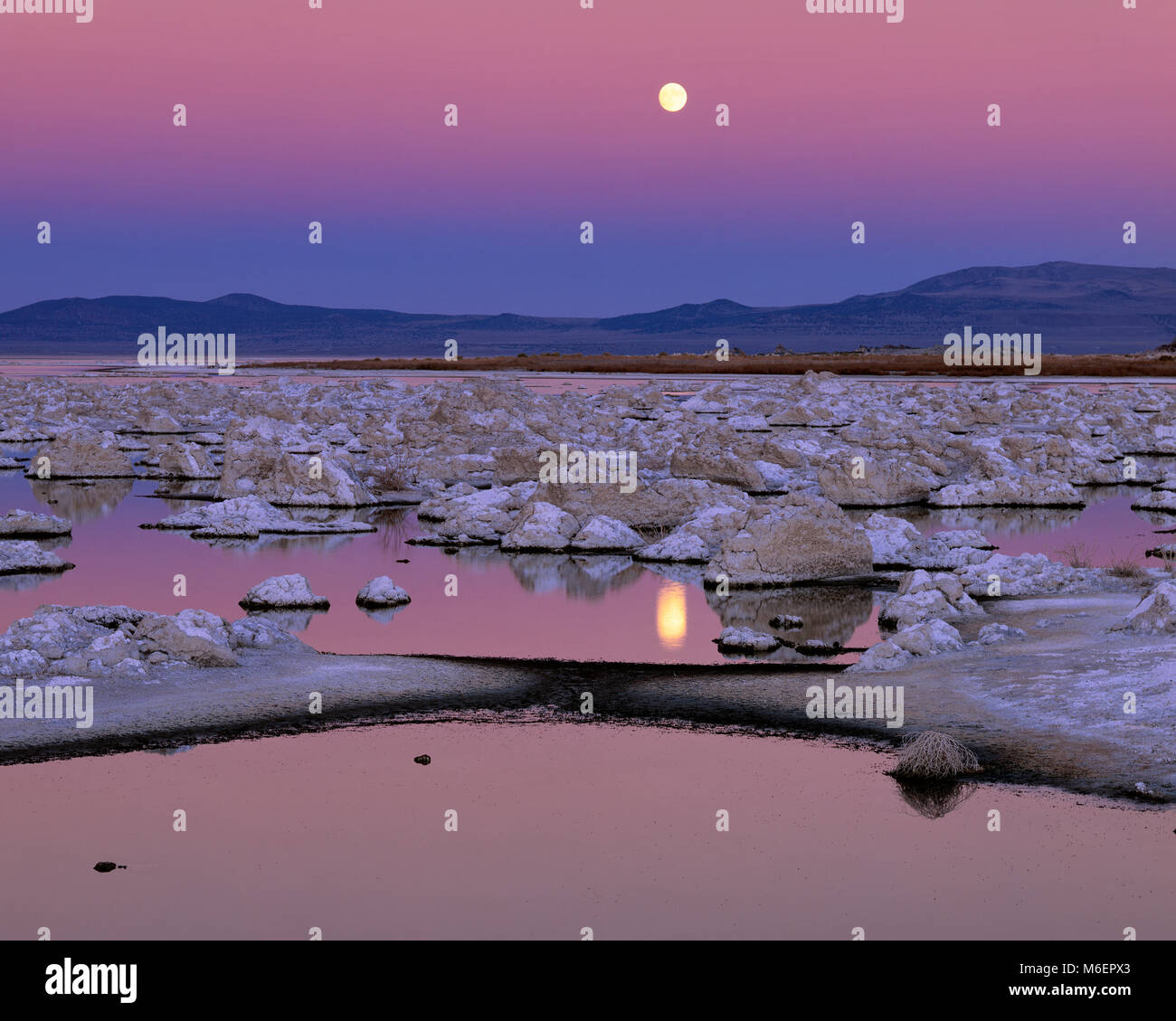 Moonrise, lac Mono, Mono Basin National Forest Scenic Area, Inyo National Forest, Californie Banque D'Images