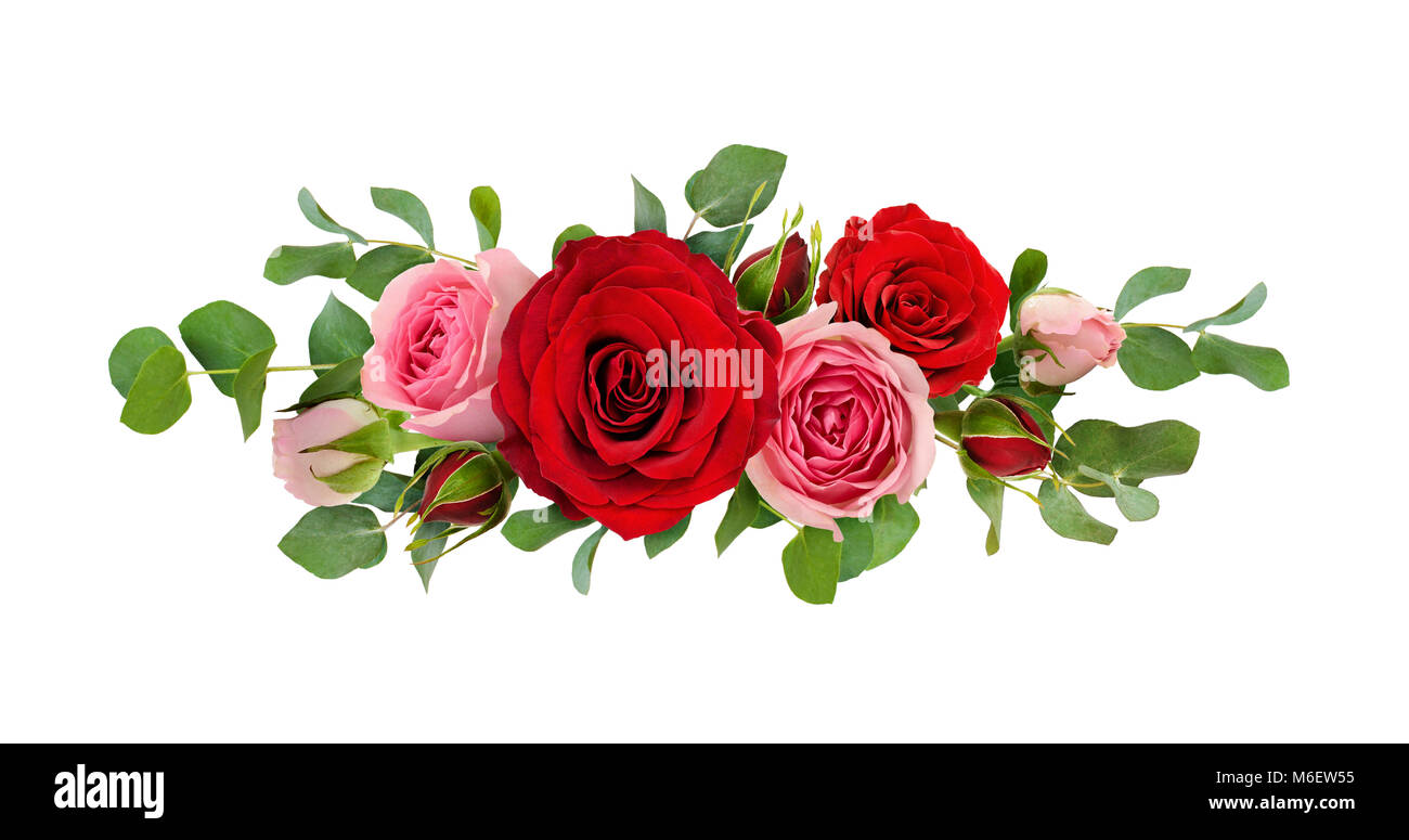 Plan En Titre Florale Roses Rouges Fleurs rose rouge et rose avec des feuilles d'eucalyptus dans un ...