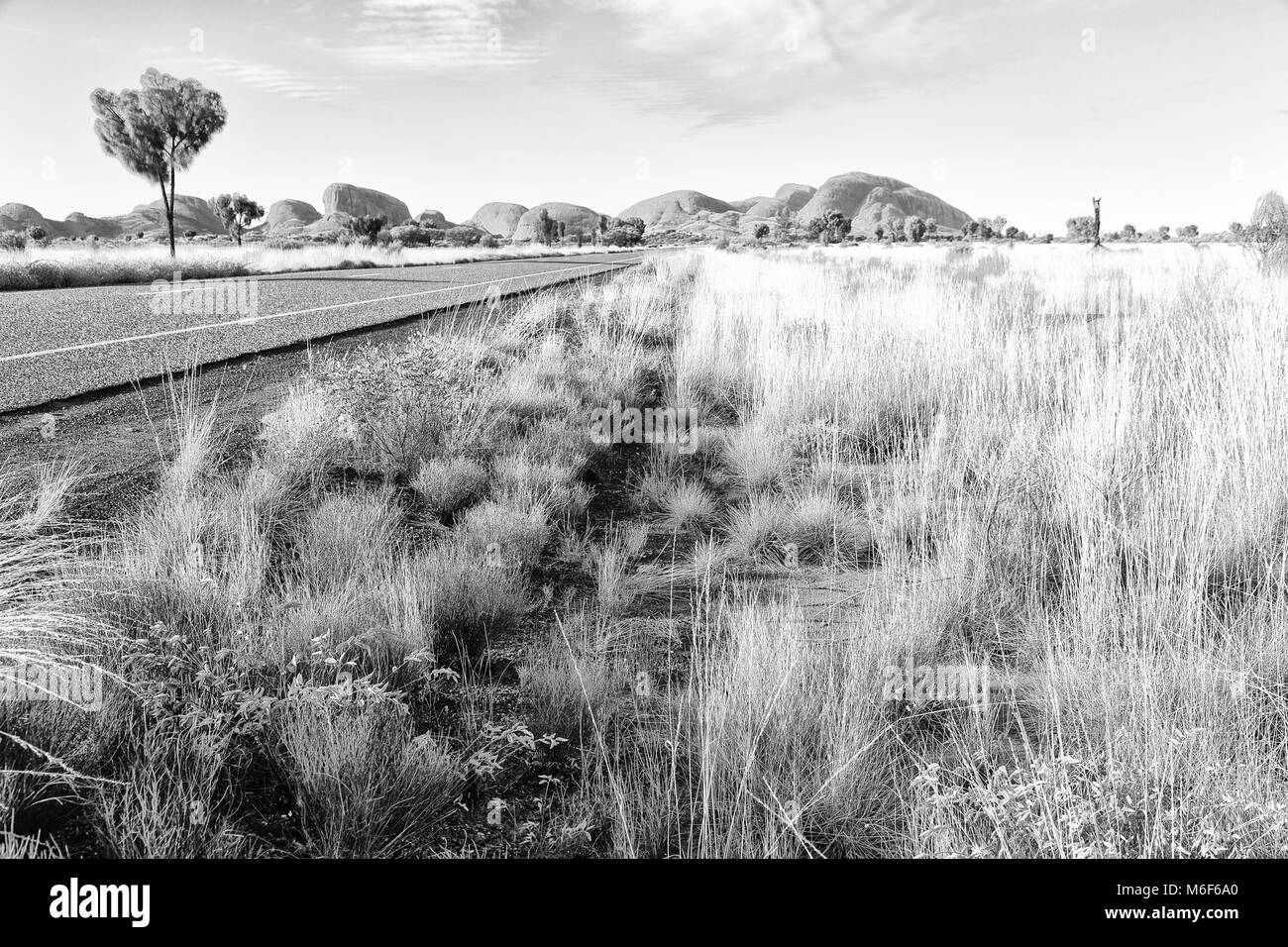 Blur en Australie le concept d'environnement sauvage dans le paysage outback Banque D'Images