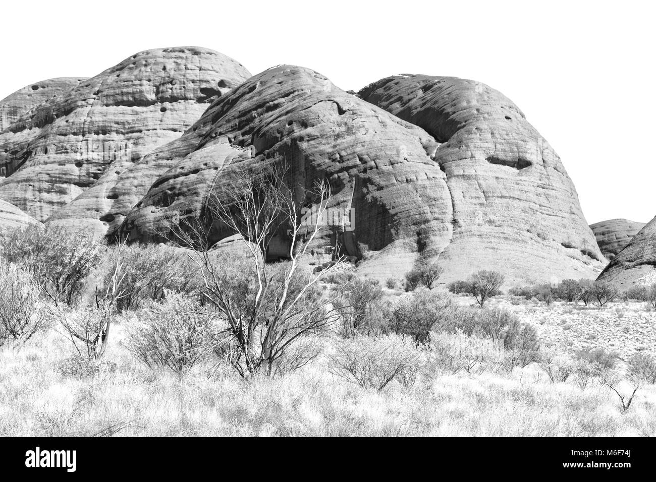 En Australie, l'outback canyon et l'arbre près de mountain dans la nature Banque D'Images