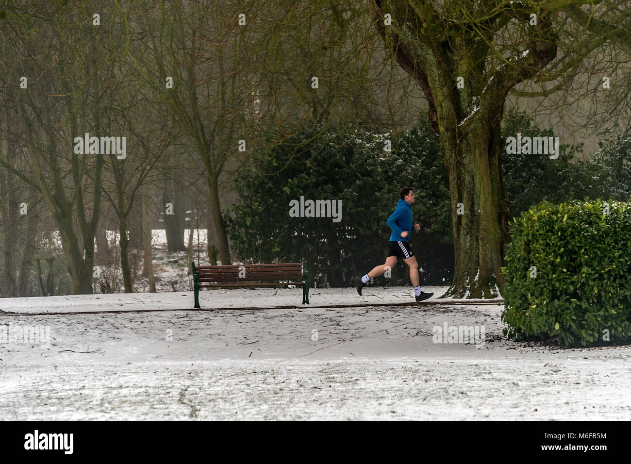 Melton Mowbray 3 Mars 2018 : Les tempêtes de neige extrêmes UK le frappeur de nombreuses parties de l'UK lone runner, dog walker, père et fils de la luge des canards, des goélands et les corbeaux bataille pour les éraflures de la nourriture. Les chevaux à l'abri sous les arbres de l'église St Mary dans le brouillard étangs gelés et les rivières comme le faisan marche le long de la route de campagne. Clifford Norton Alamy Live News. Banque D'Images