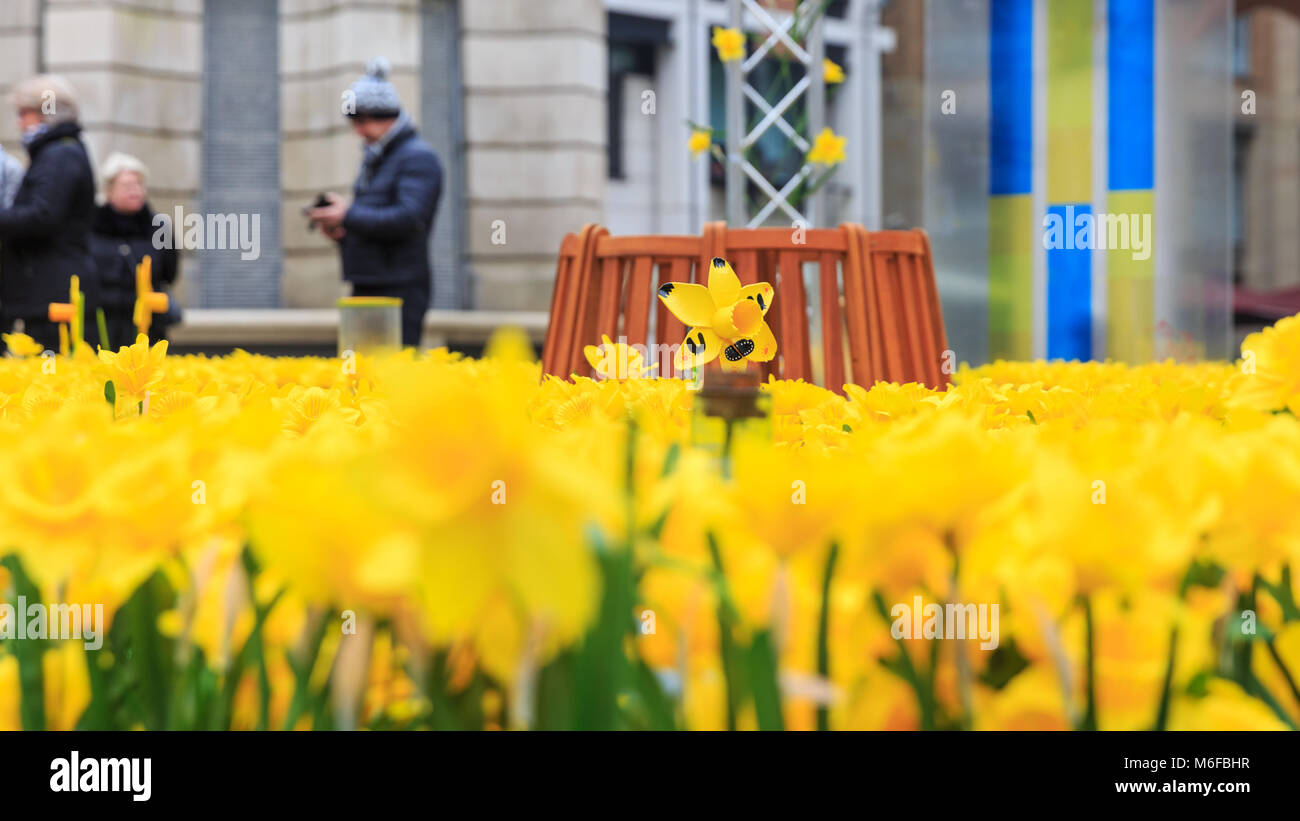 Paternoster Square, City of London, 3 mars 2018. Le printemps a jailli, au moins à Paternoster Square, où 4 000 des jonquilles ont comparu dans le cadre du "Jardin de lumière", l'installation, créé par l'organisme de soins de maladie terminale Marie Curie. Partie du grand appel de la jonquille, les membres du public peuvent aussi laisser des messages sur un mur. Les jonquilles s'allumer le soir et restera dans la place du samedi 3 au 11 mars Soleil. Credit : Imageplotter News et Sports/Alamy Live News Banque D'Images