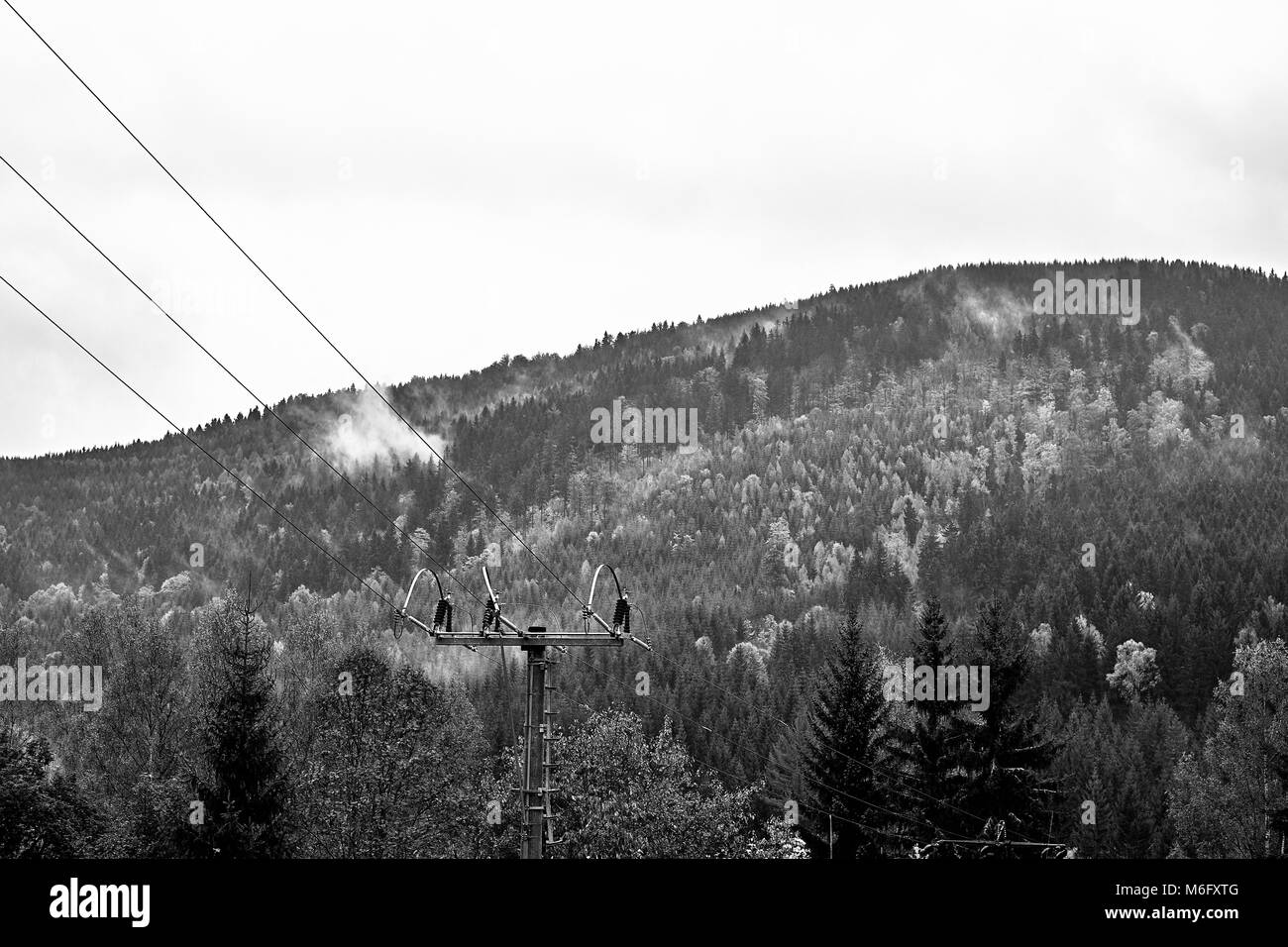Le brouillard et la brume sur la forêt de montagne de pin avec les lignes électriques. Noir et blanc. Monochrome. Banque D'Images