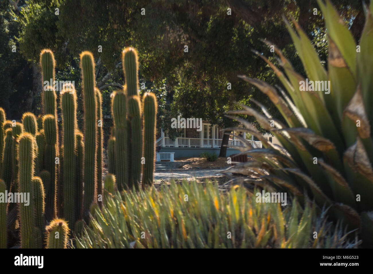 Peter Strauss Ranch. Banque D'Images