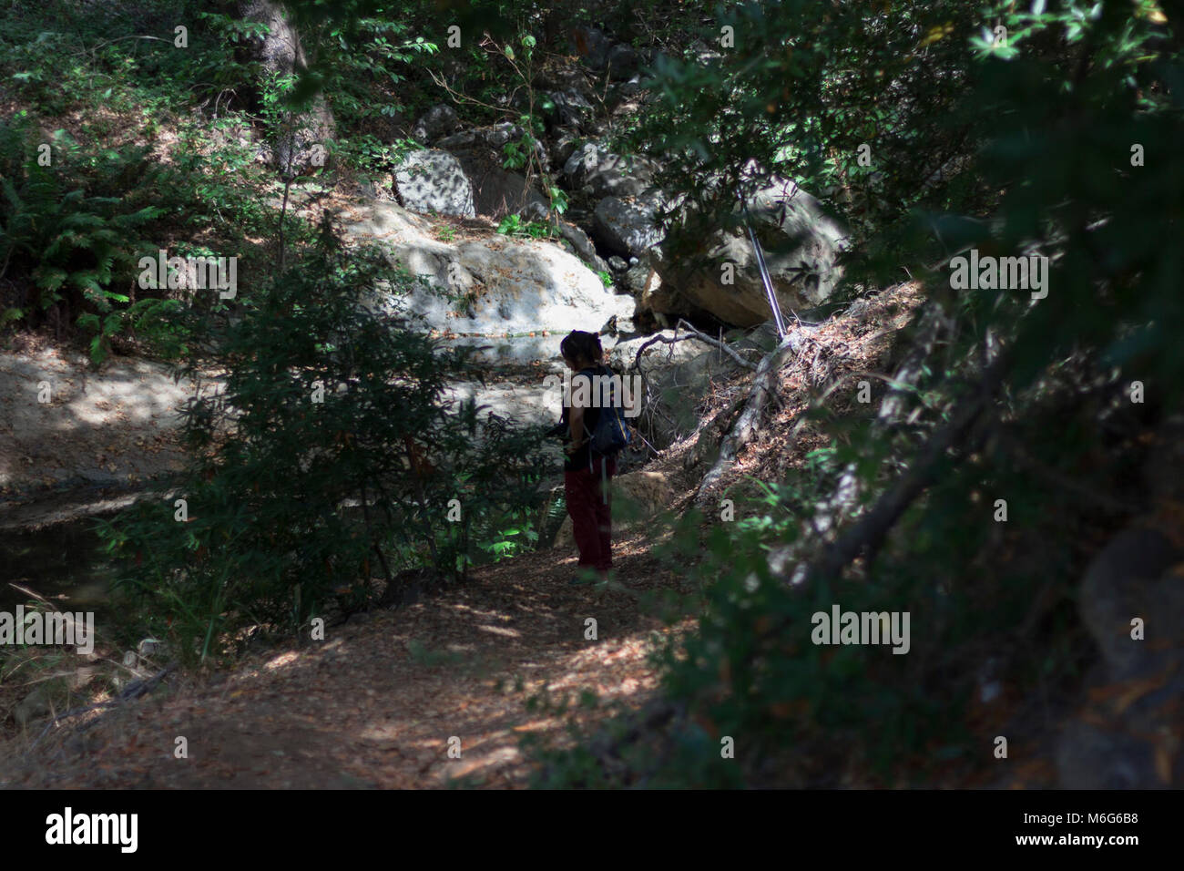 Solstice Canyon. Banque D'Images