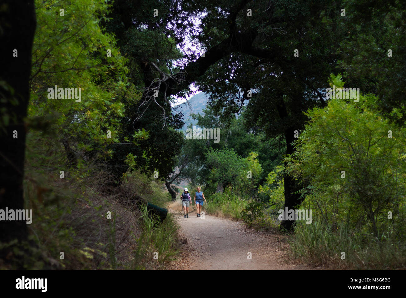 Solstice Canyon. Banque D'Images
