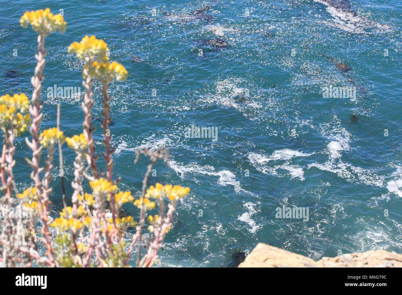 California coast Banque D'Images