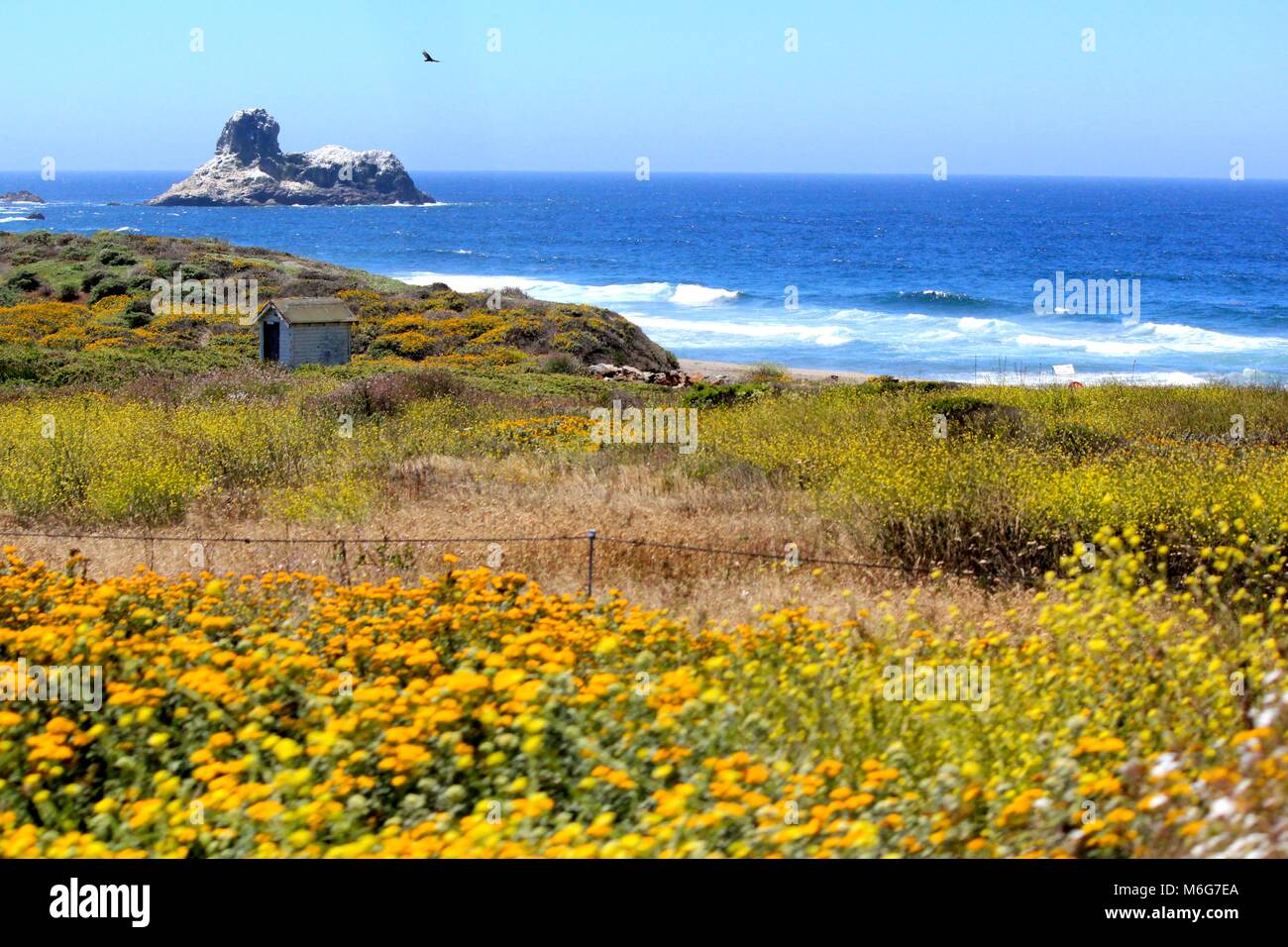 California coast Banque D'Images