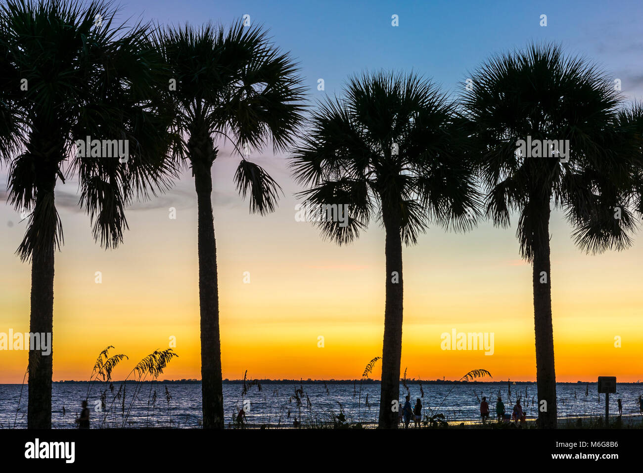 USA, Floride Fort Myers Beach, emmenez la victime, sol, semestre, ledigt, le VHA solnedgång, njuta, beundra, människor, PIR, soleil, chaleur, vacances, congé, mer, coucher de soleil, Banque D'Images
