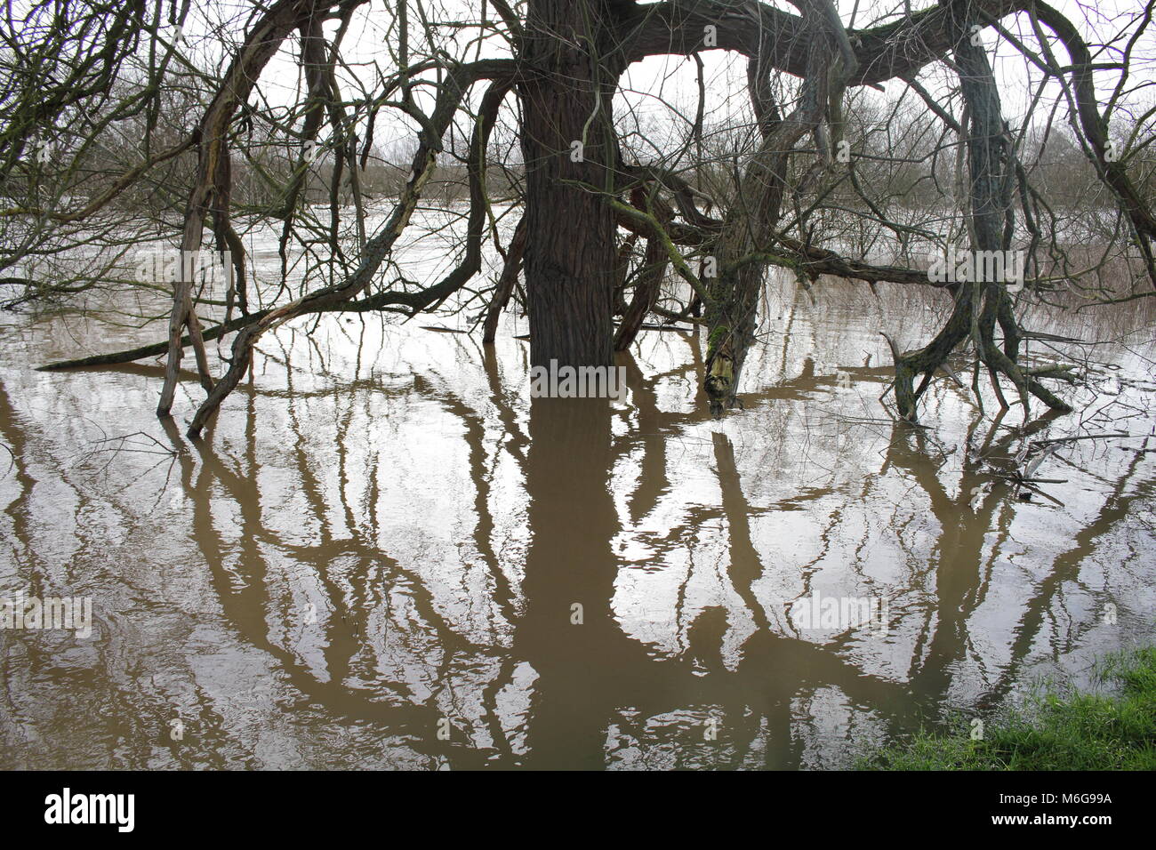 Inondation de la rivière Severn à Banque D'Images
