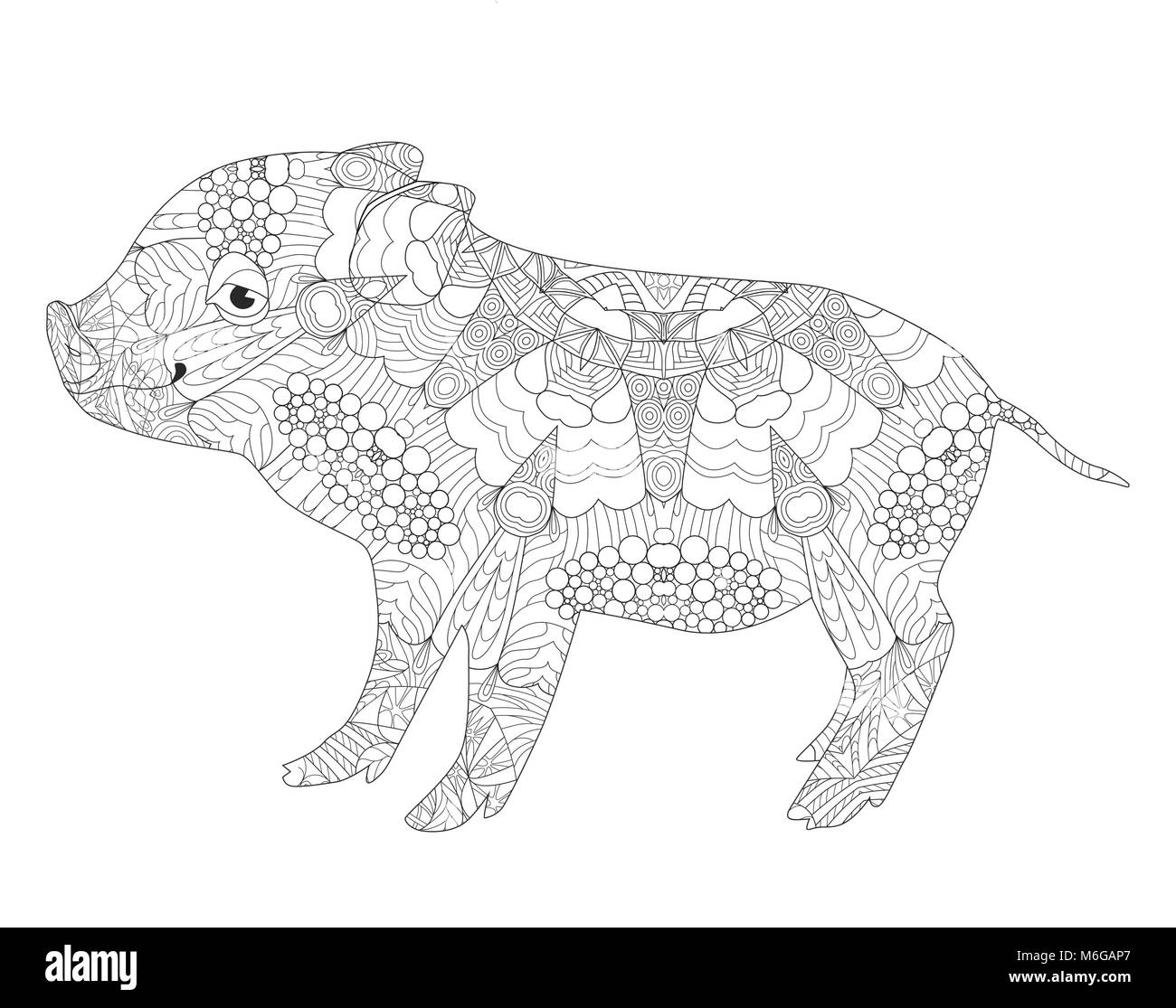 Zentangle illustration avec cochon. Tangle Zen ou doodle porcelet. Livre de coloriage animal domestique. Illustration de Vecteur
