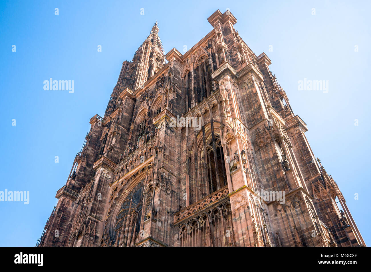 La Cathédrale de Notre Dame de Strasbourg (Notre-Dame), une cathédrale catholique romaine à Strasbourg, Alsace, France. Plus haut bâtiment du monde de 1647 à Banque D'Images