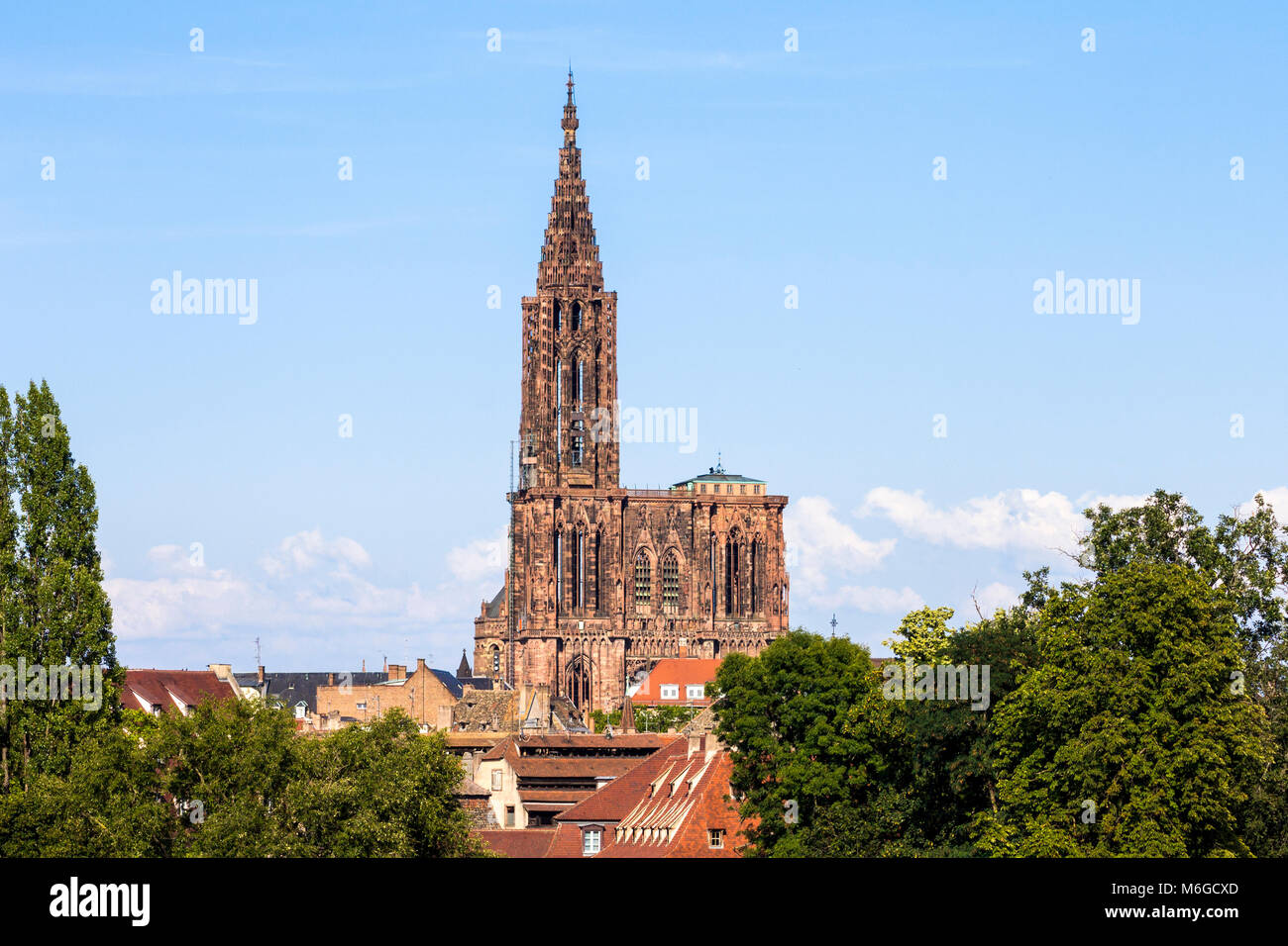 La Cathédrale de Notre Dame de Strasbourg (Notre-Dame), une cathédrale catholique romaine à Strasbourg, Alsace, France. Plus haut bâtiment du monde de 1647 à Banque D'Images