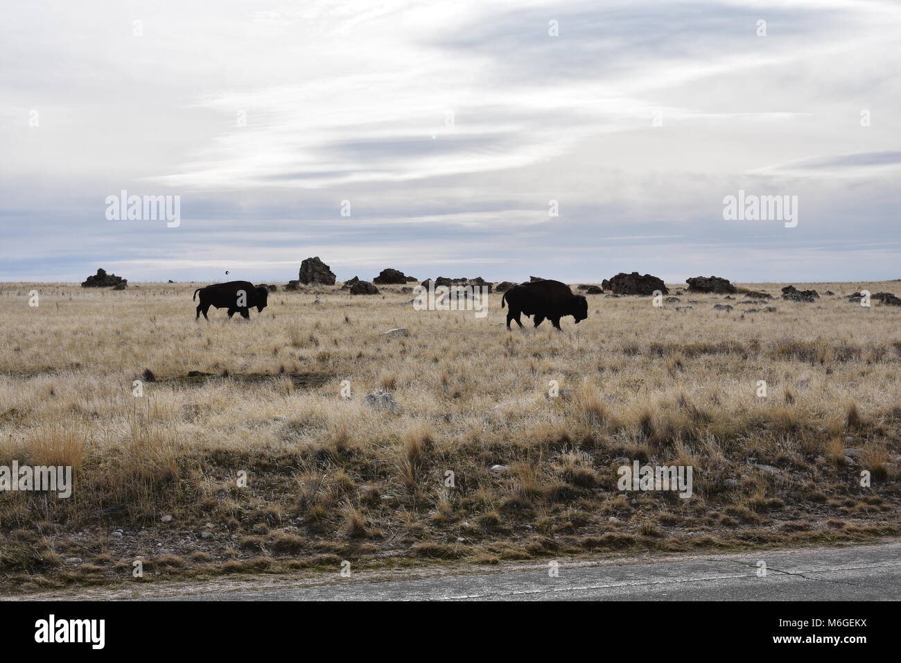 Antelope Island, Italy Banque D'Images