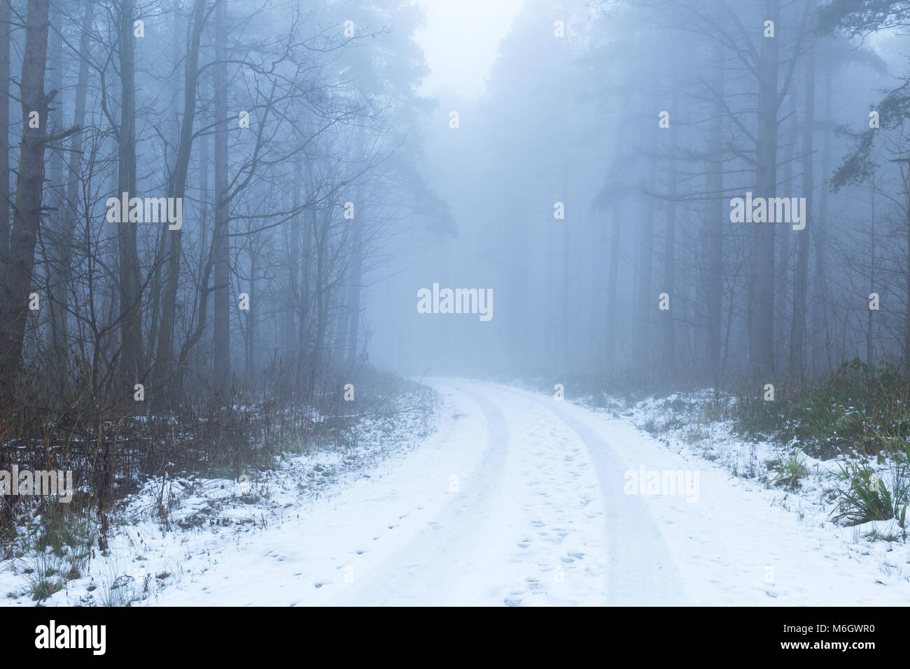Annesley, Dorset, UK : le 04 mars 2018.Un lent dégel a commencé en Bretagne mais le brouillard verglaçant.reste à la hausse des températures dans les prochains jours. Crédit : Ian Francis/Alamy Live News Banque D'Images