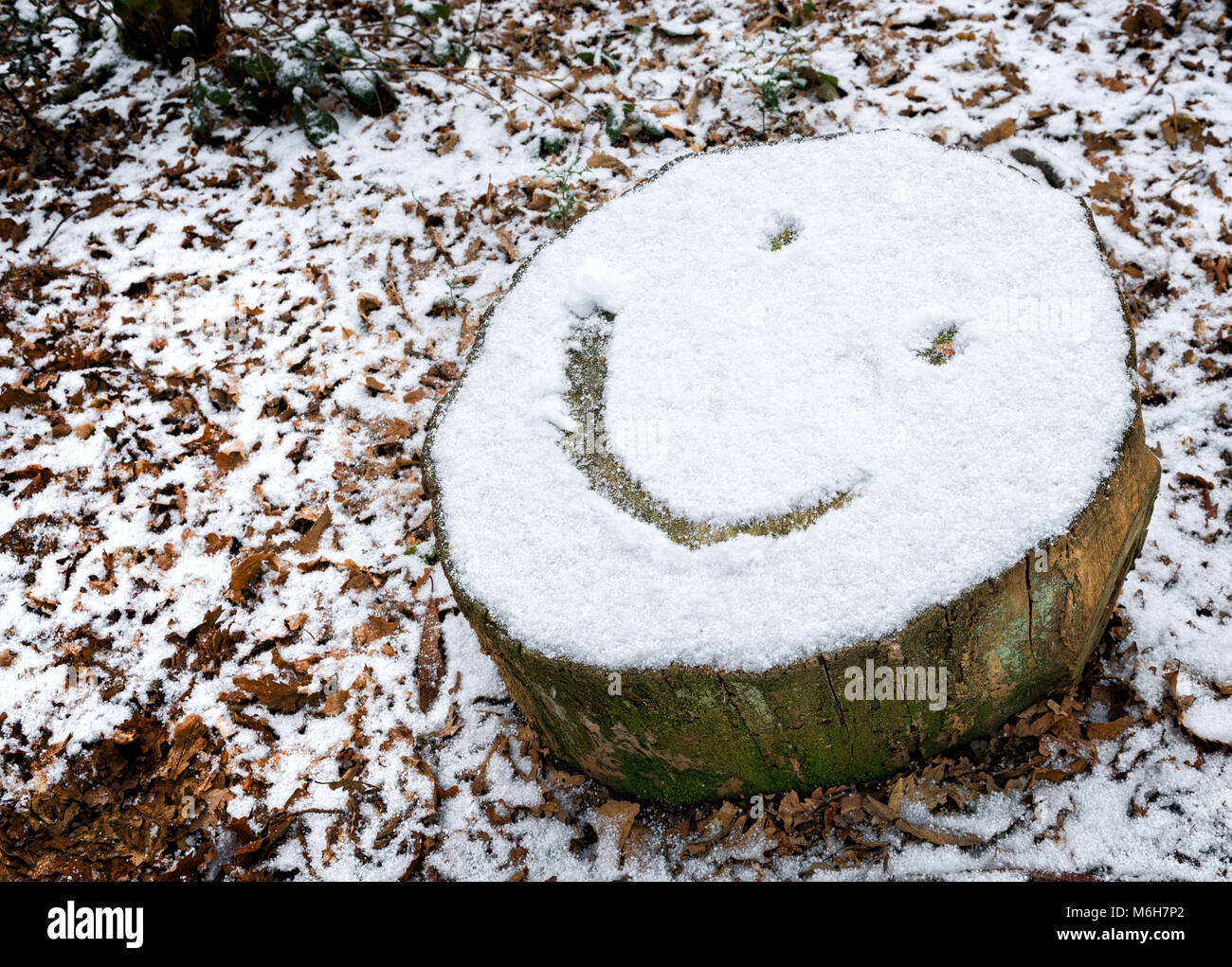 Emoji Smiley dessiné sur souche d'arbre couvert de neige Banque D'Images