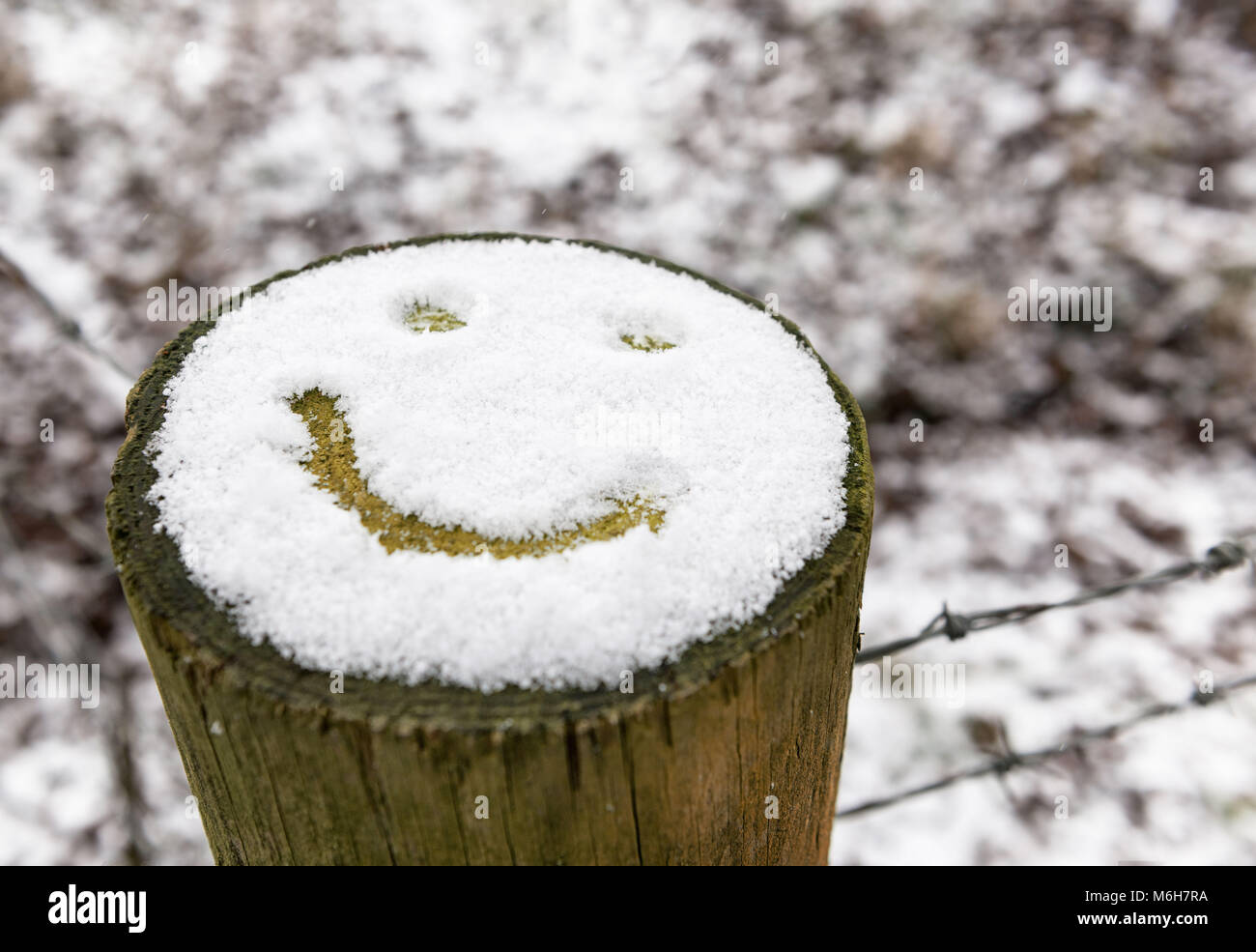 Emoji Smiley dessiné sur souche d'arbre couvert de neige Banque D'Images