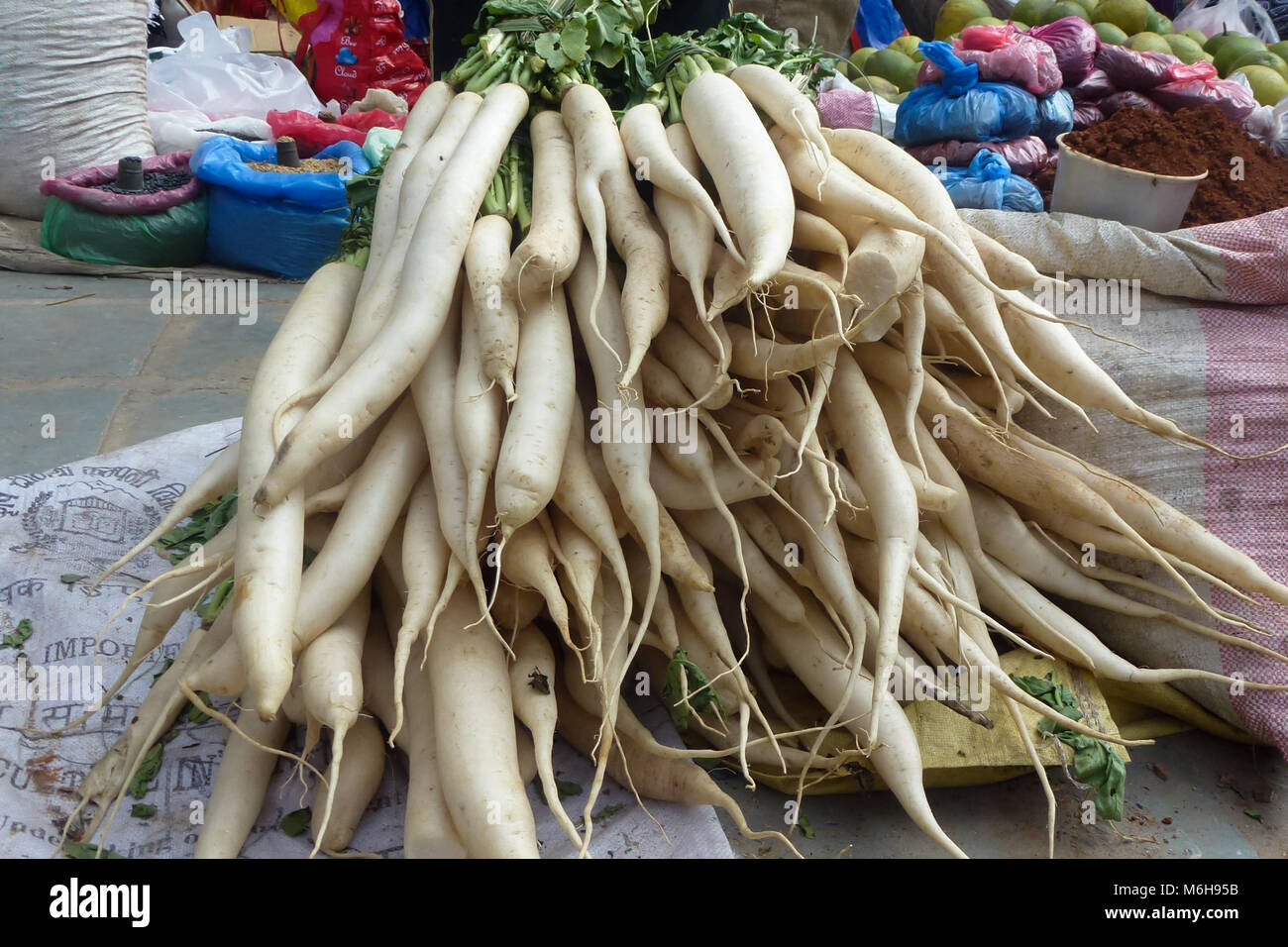 Photo de daikon Légumes à vendre à un marché de rue Katmandou, Népal Banque D'Images